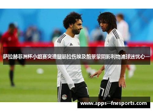 萨拉赫非洲杯小组赛突遭腿筋拉伤埃及前景蒙阴影利物浦球迷忧心一 萨拉赫非洲杯小组赛突遭腿筋拉伤埃及前景蒙阴影利物浦球迷忧心一