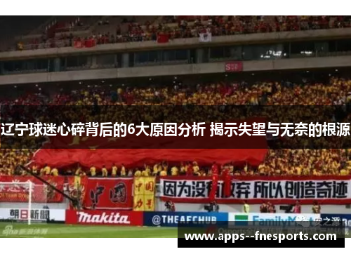 辽宁球迷心碎背后的6大原因分析 揭示失望与无奈的根源