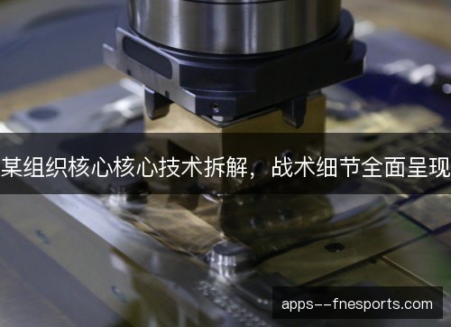 某组织核心核心技术拆解，战术细节全面呈现