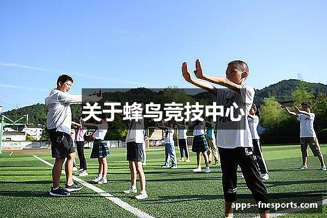 关于蜂鸟竞技中心